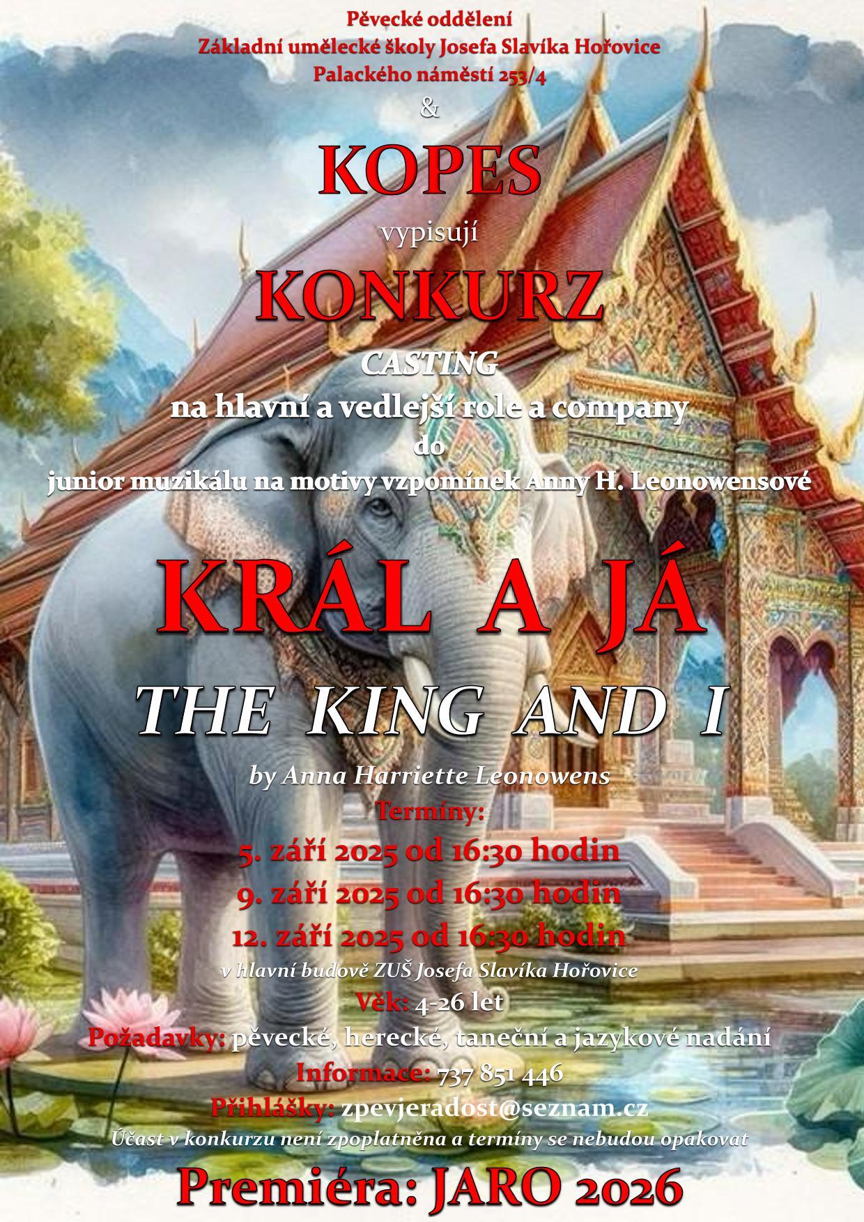 Konkurz do muzikálového projektu