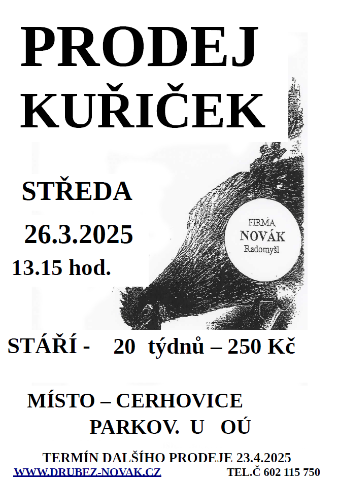 Prodej kuřiček