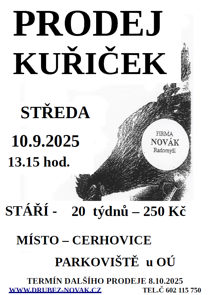 Prodej kuřiček