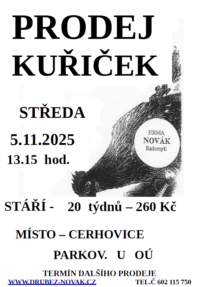 Prodej kuřiček