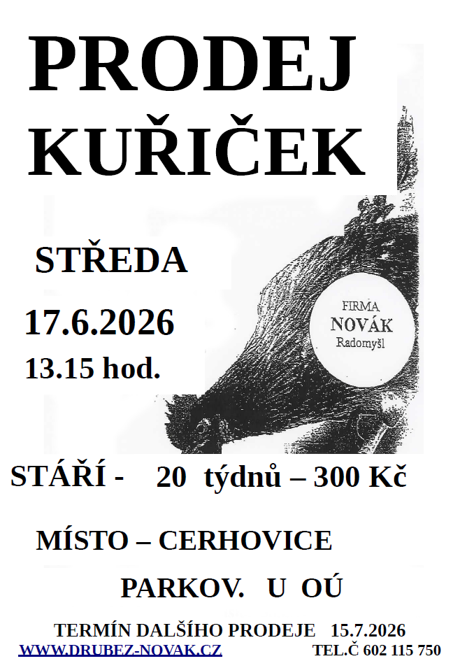 Prodej kuřiček
